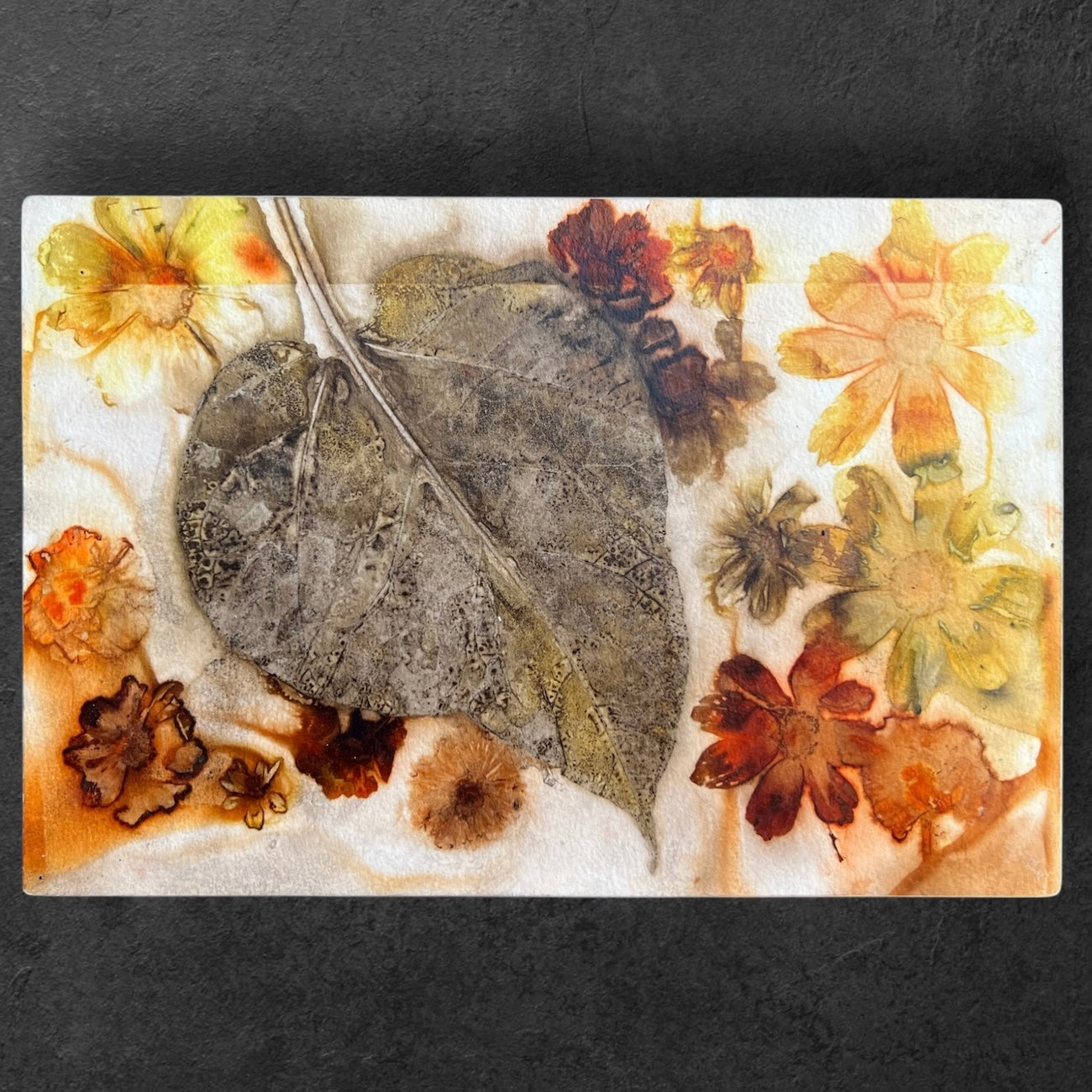 Emboldened Cosmos and Catalpa Leaf