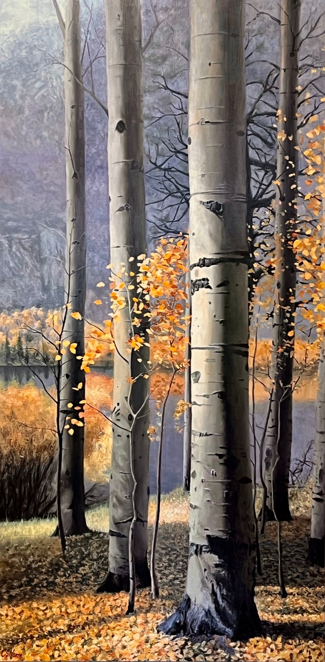 Evening Aspens