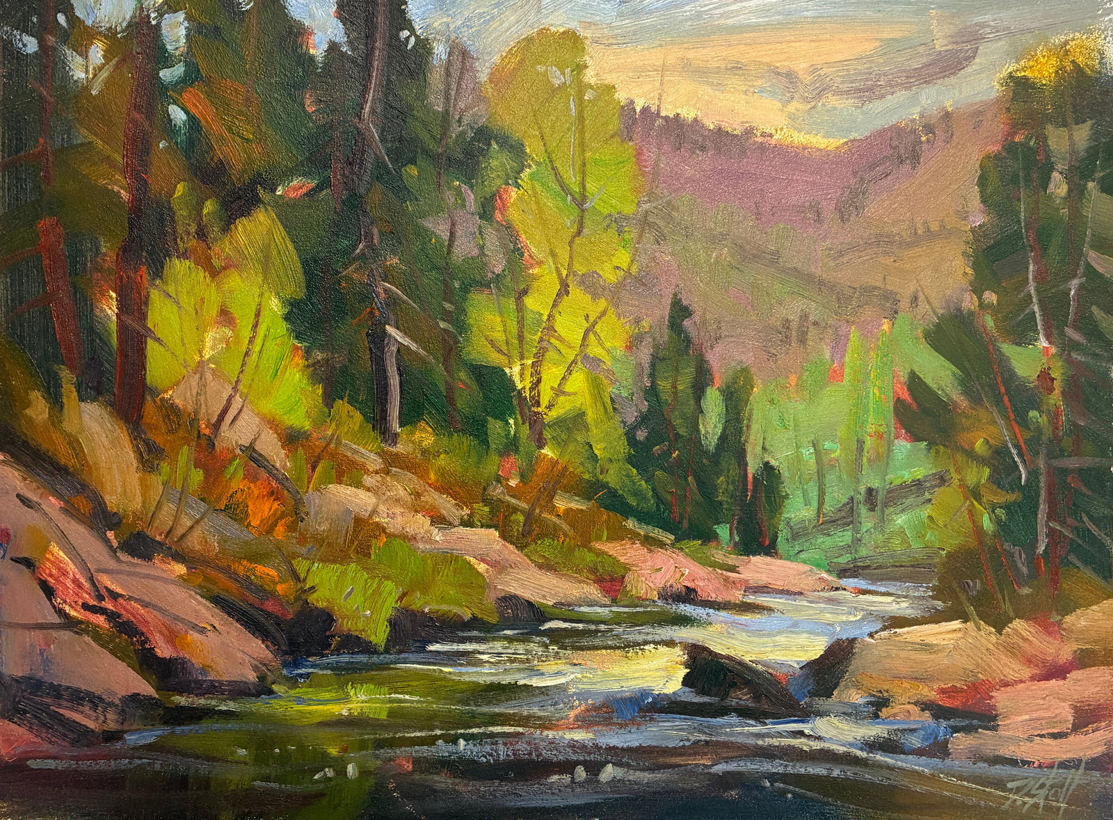 Colorado Mountain Colors