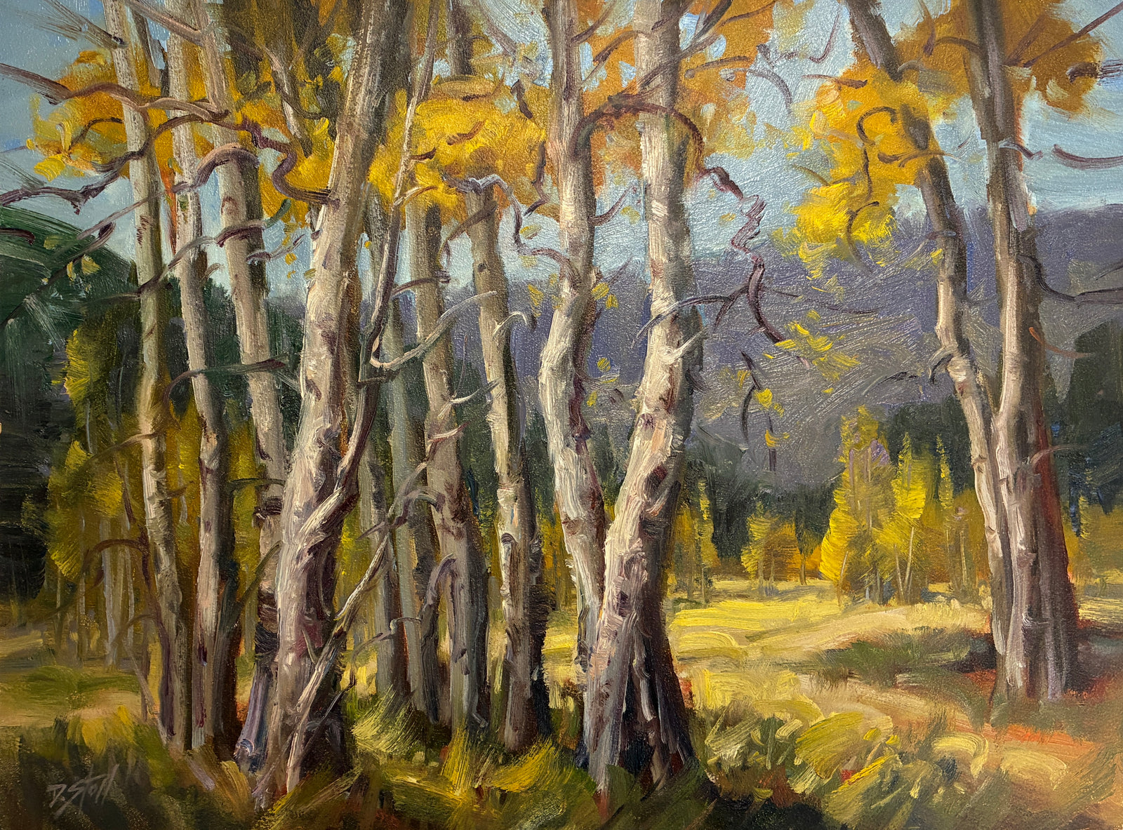 Colorado’s Aspen Gold