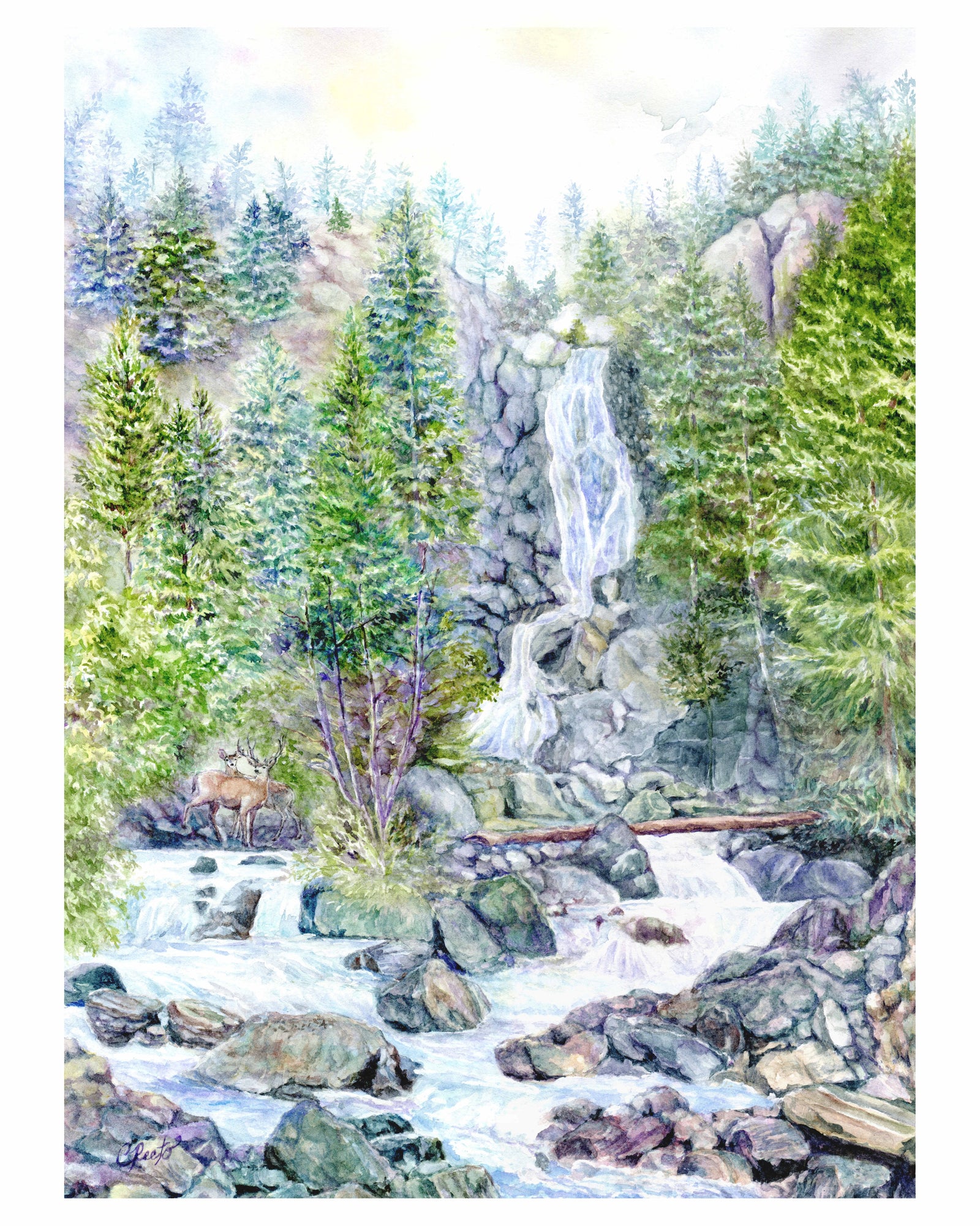 Steamboat's Mighty Fish Creek Falls, 12 x16 framed art