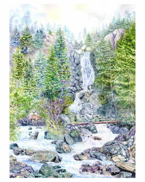 Steamboat's Mighty Fish Creek Falls, 11x14 framed art