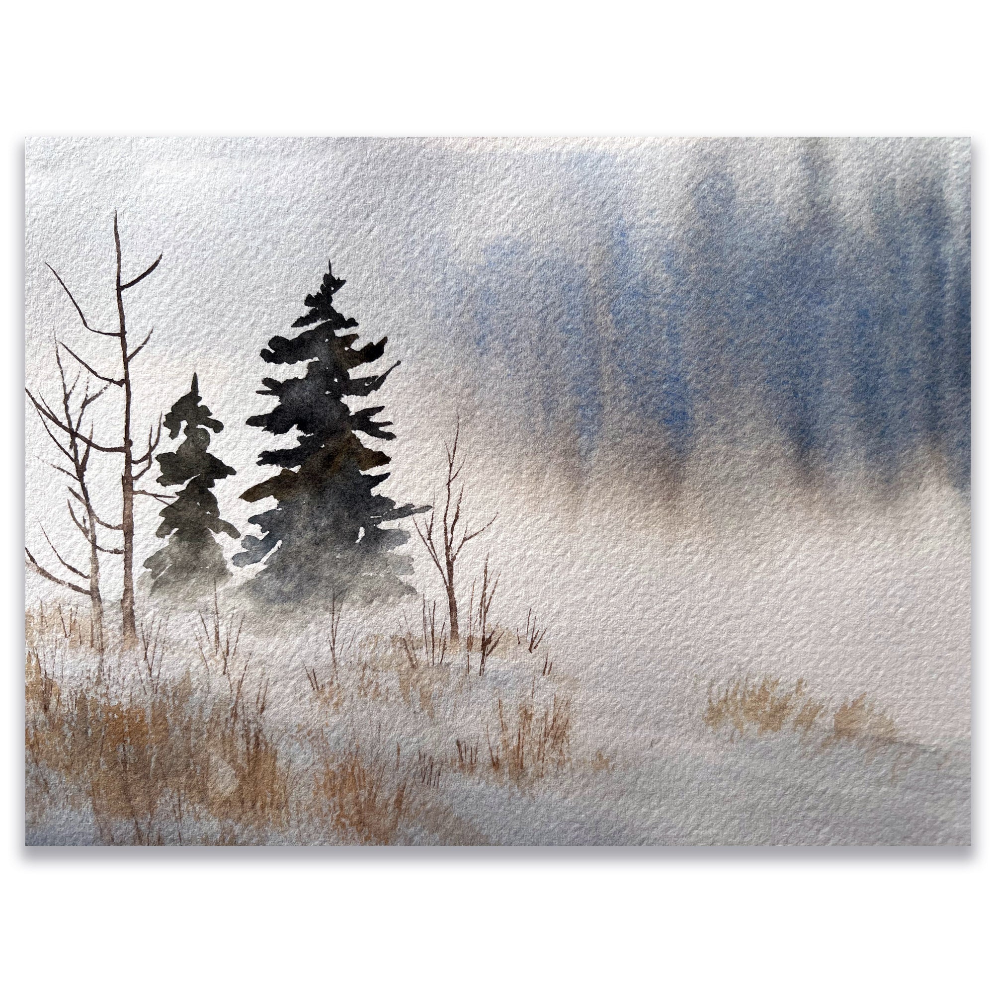 See the Forest and the Trees, Watercolor 102 - Sun 3.17.24 @ 1p