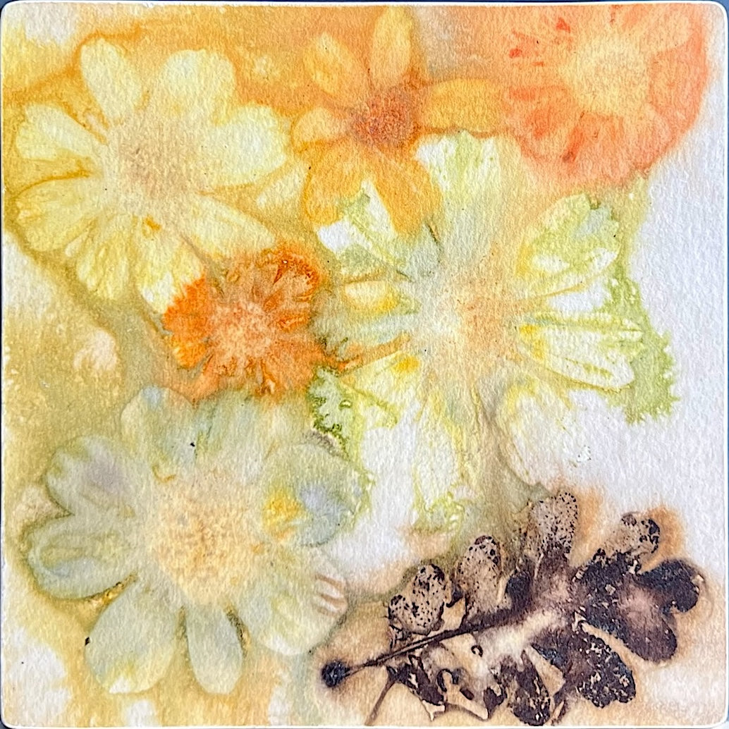 Glorious Blossoms and Oak--Elizabeth Hotel