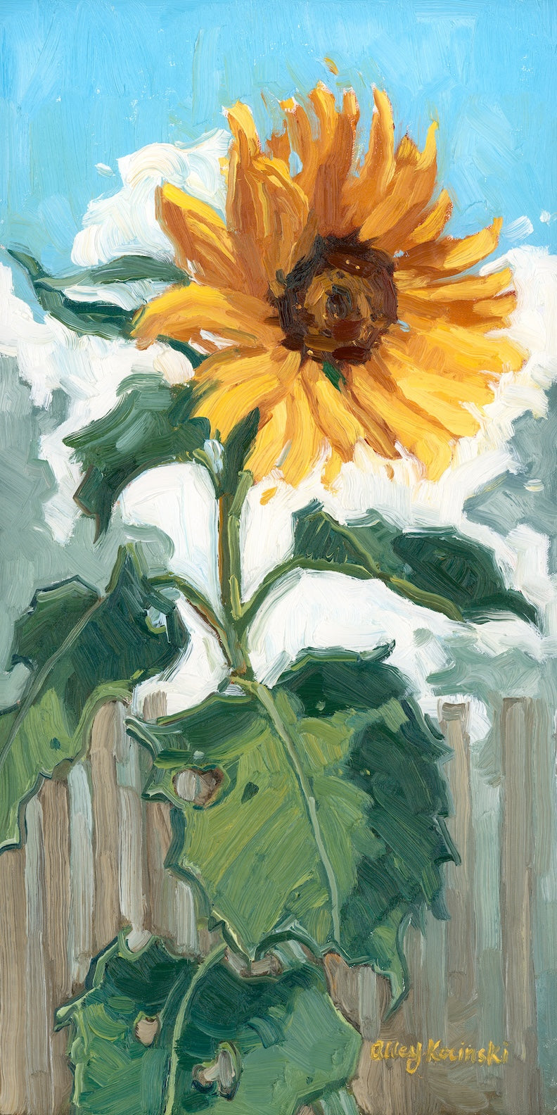 Homegrown - prints-now