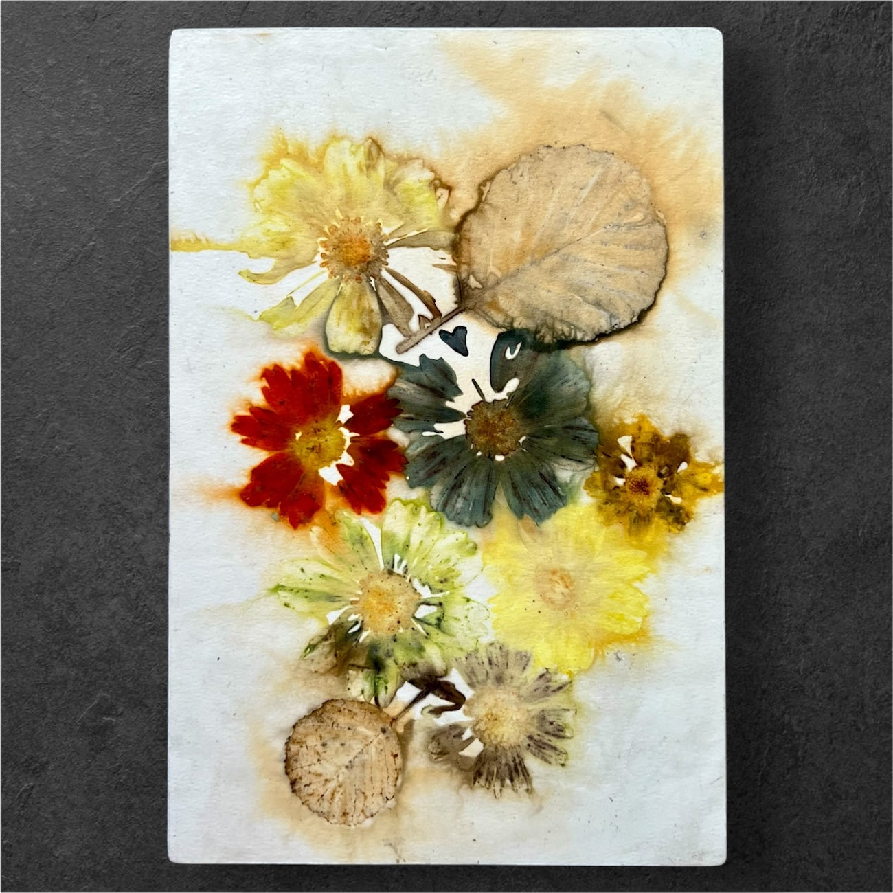 Homegrown Summer Blooms and Alder Leaves