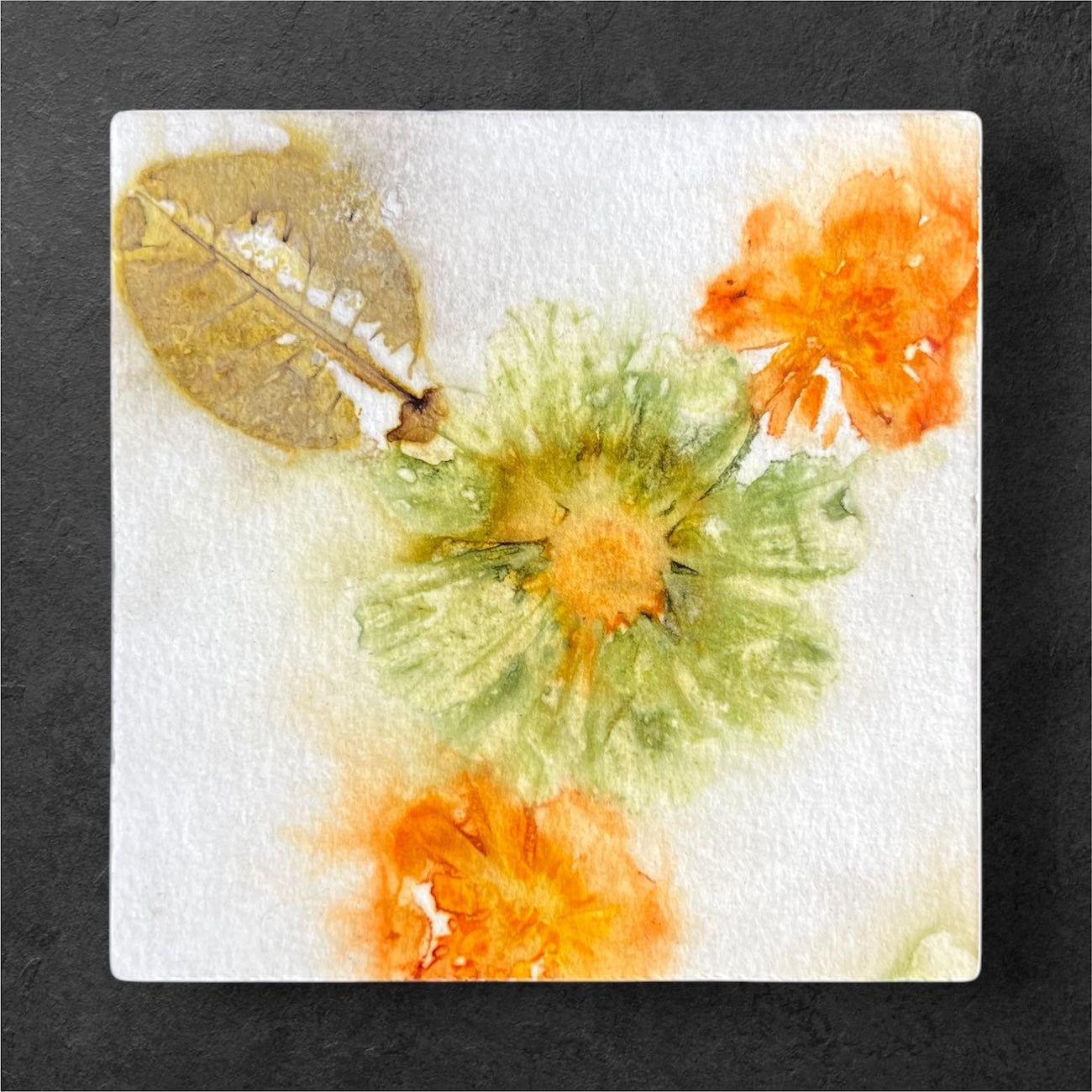 Hues of Cosmos Blooms