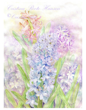 Hyacinthe Absolu Framed