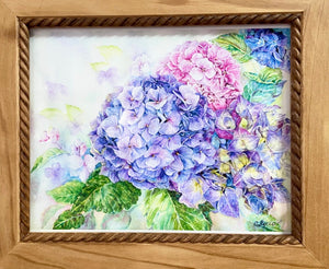 Hydrangea Dream