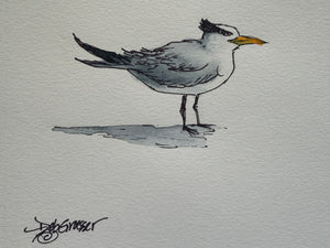 Beginner Watercolor- Whimsical Bird with Deb Thurs. 4.9.26 @ 1P