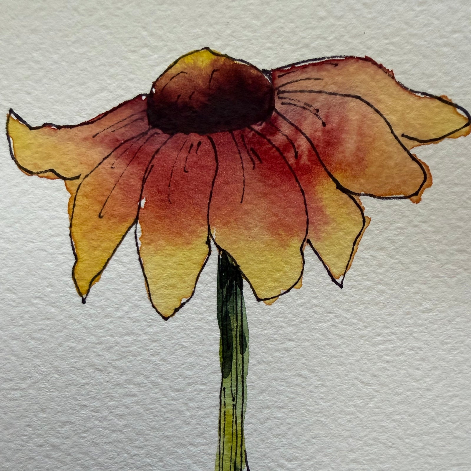 Beginner Watercolor with Pen and Ink: Summertime!  Thurs. 6.25.26 @ 1P
