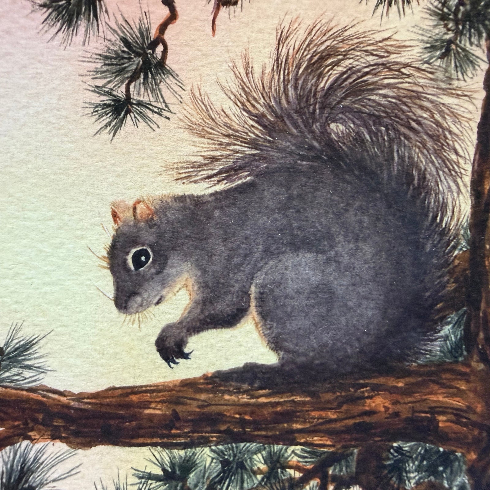 102 Watercolor Animals and Brushstrokes Art Class with Deb Thur. 5.14.26 @ 1p