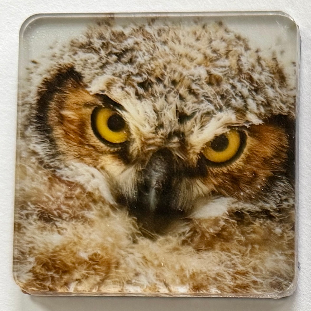Magnets $9
