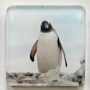 Magnets $9