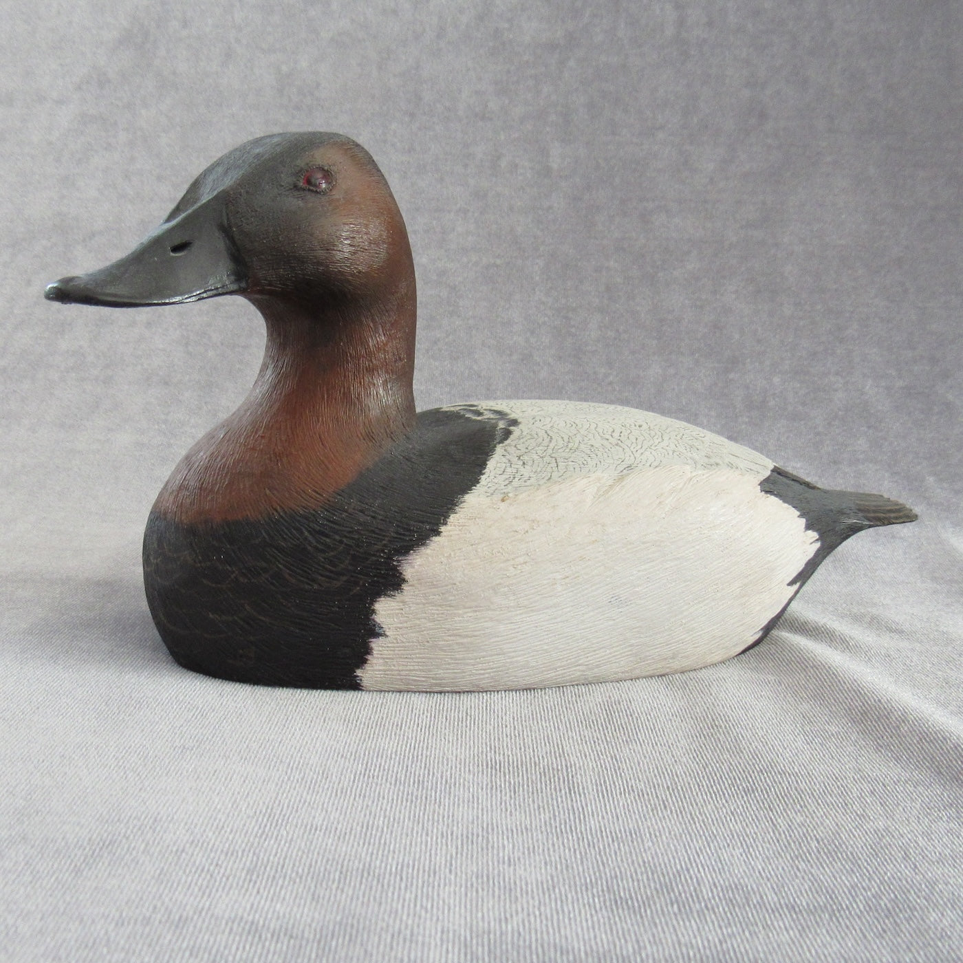Realistic Canvasback--website exclusive