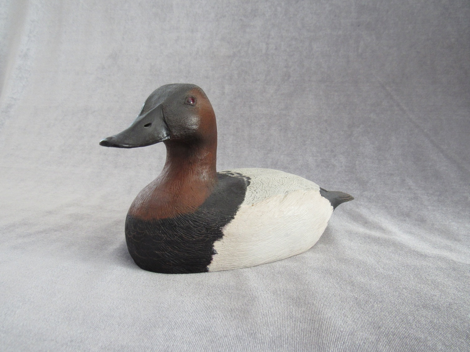 Realistic Canvasback--website exclusive