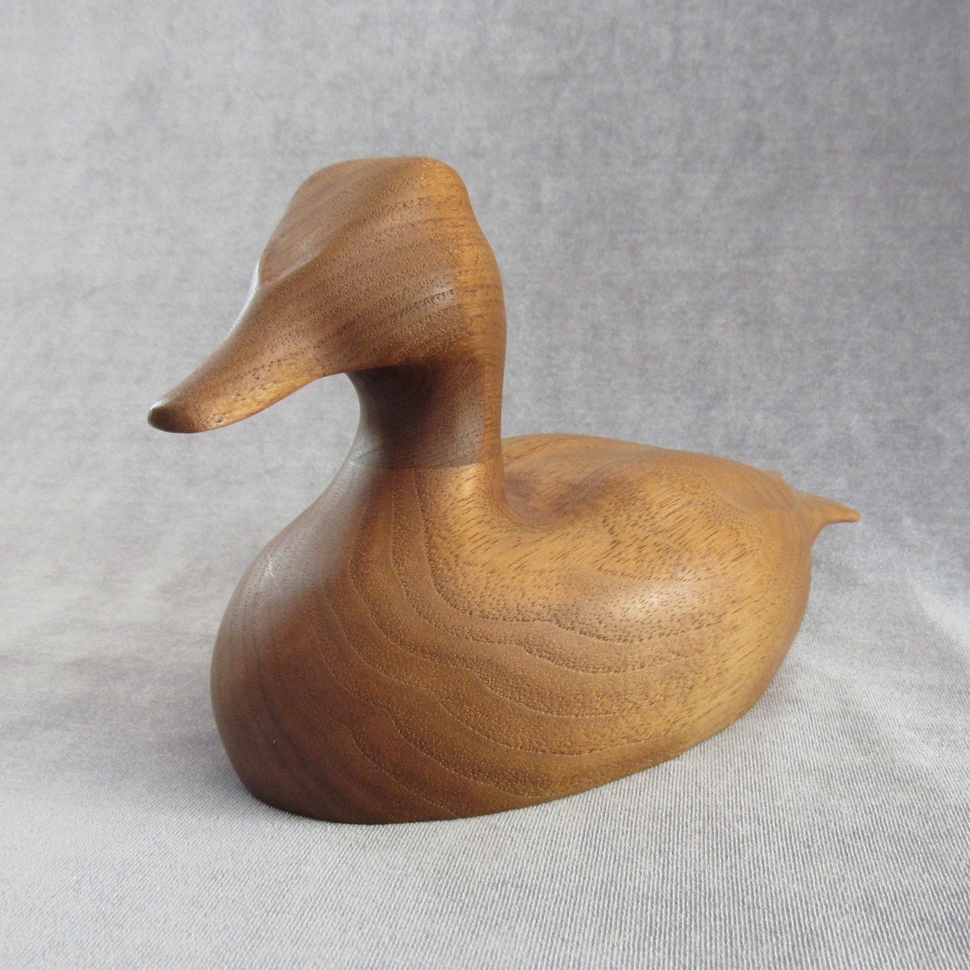 Stylized Canvasback--website exclusive