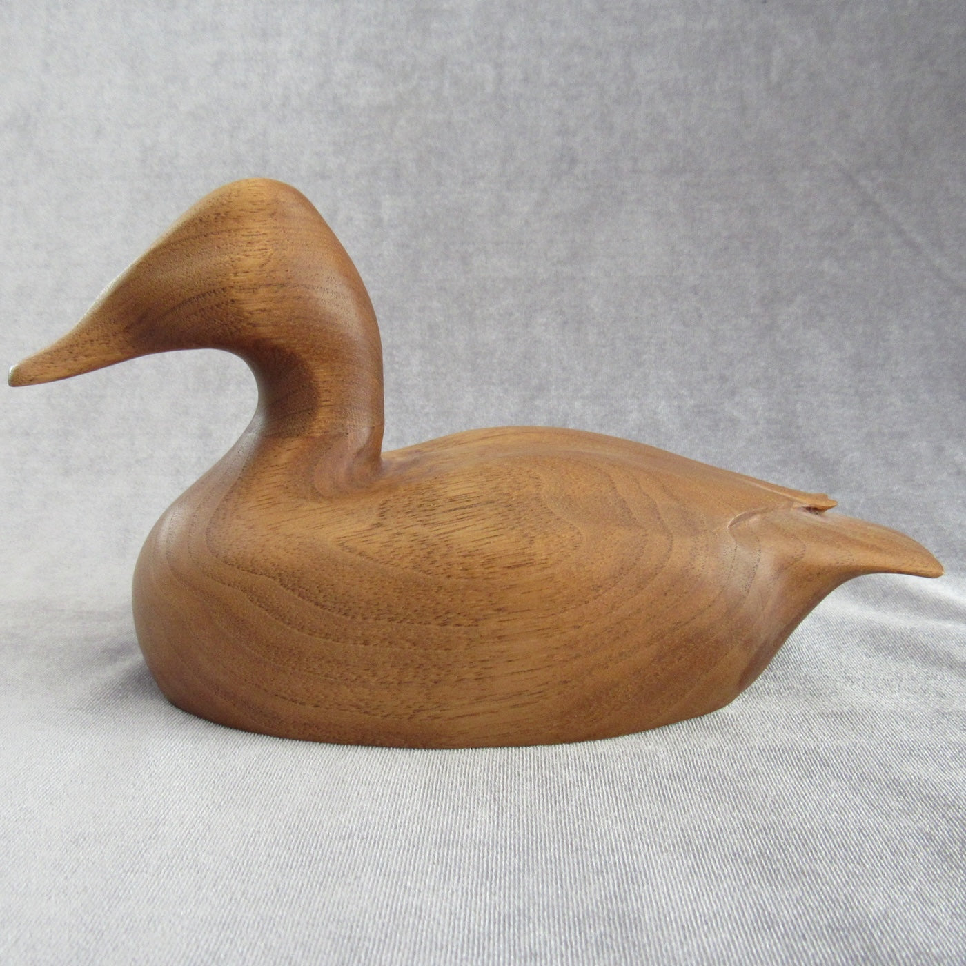 Stylized Canvasback--website exclusive