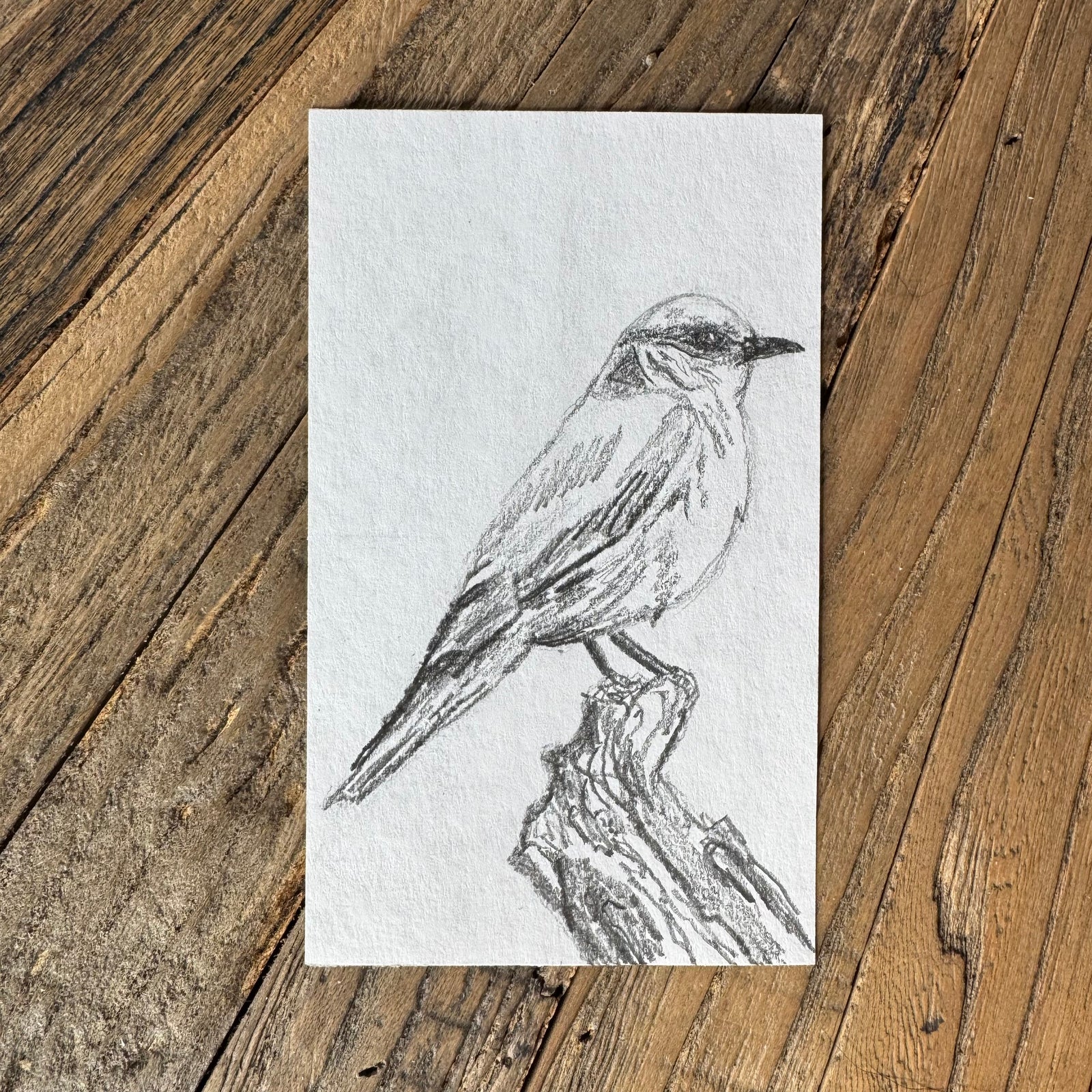 International Art Day: Drop-in to Draw a Bird or Paint a Flower. Wed. 4.15.26 from 2-4P