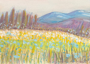 Paint the Glow: Watercolor Greeting Cards Art Class with Sarah Sun. 2.8.26 1P