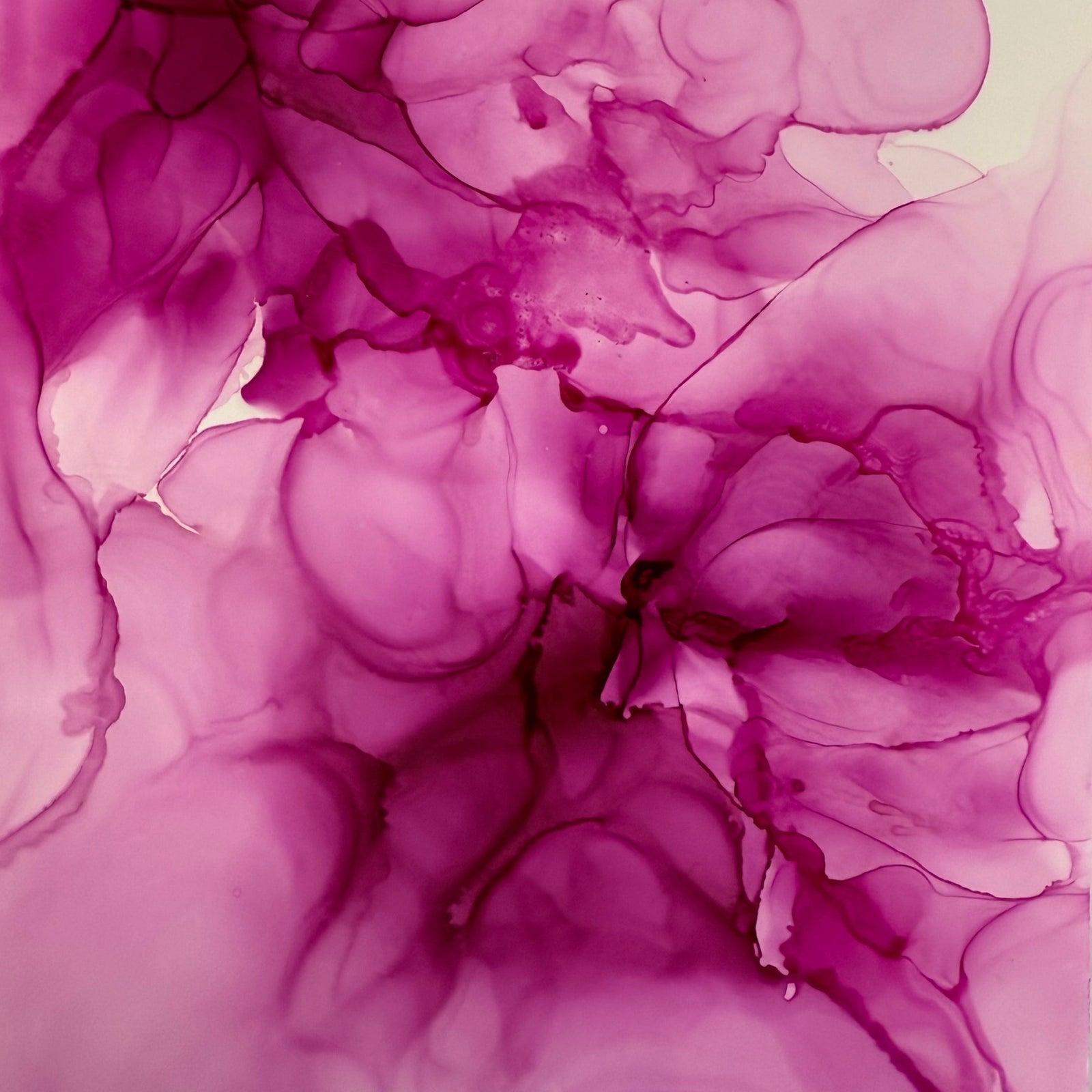 Flower Power: Alcohol Ink Fun Art Class Sat. 1.17.26 @ 10A