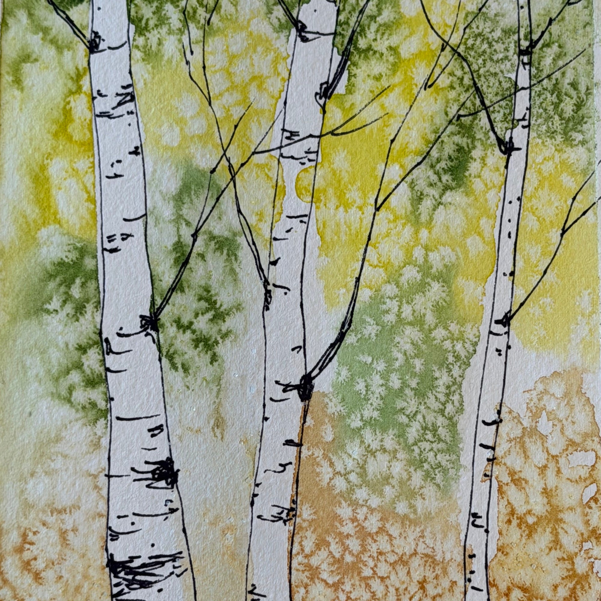 Beginner Watercolor Art Class: Colorado Aspens & Pine Trees  Tues. 12.9.25 @ 1P