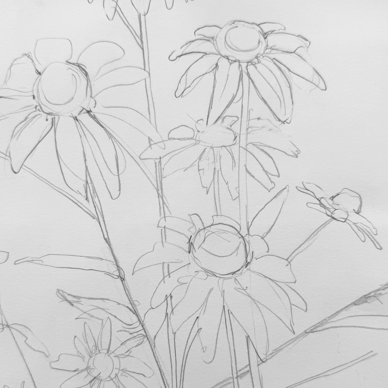 Bold Botanicals: Learn how to draw contours Mon. 6.22.26 @ 10:30A
