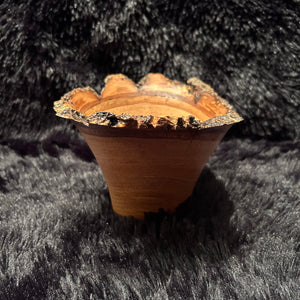 Jap Chestnut 5-26 Y