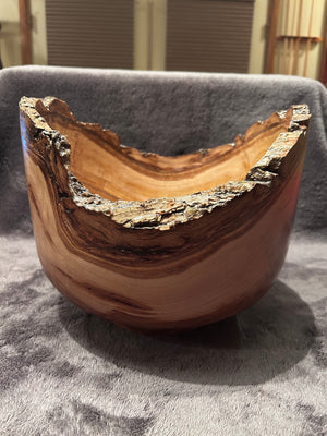 Japanese Chestnut 4-26