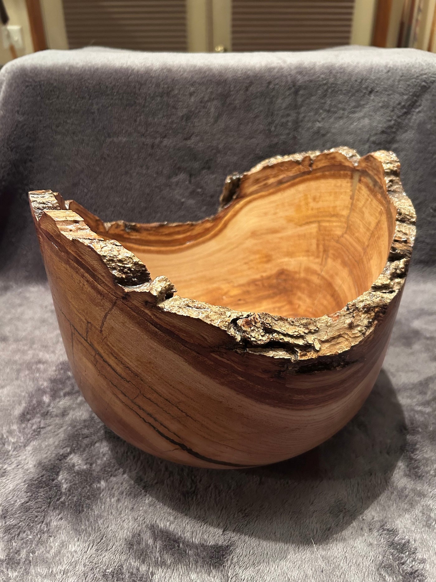 Japanese Chestnut 4-26