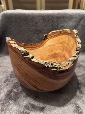 Japanese Chestnut 4-26