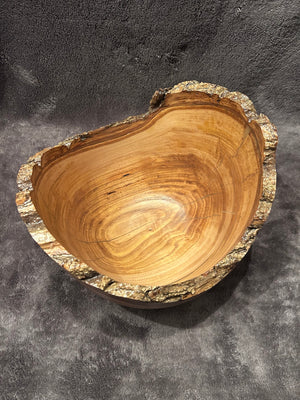 Japanese Chestnut 4-26