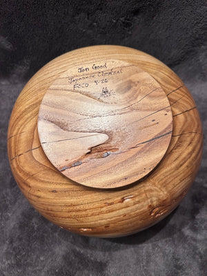 Japanese Chestnut 4-26