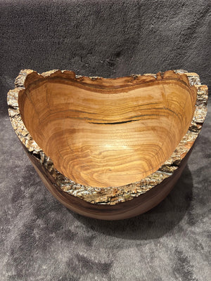 Japanese Chestnut 4-26