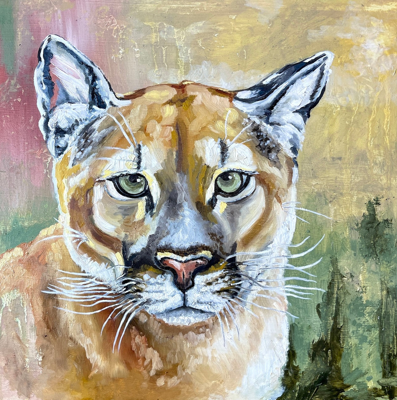 Mountain Lion Study-prints-now