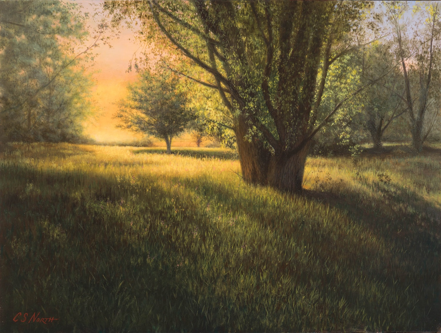 Long Light