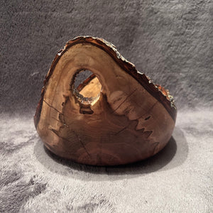 Maple 6-26, w_hole