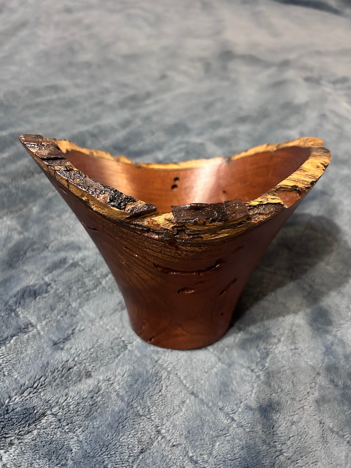 Mesquite, Y-Shape (3-25)
