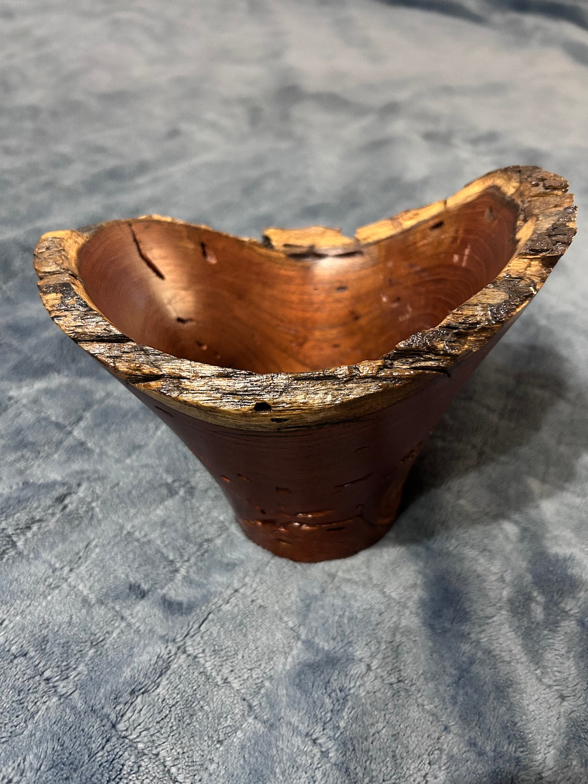 Mesquite, Y-Shape (3-25)