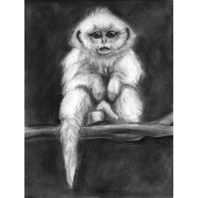 Matted Charcoal Snub-Nosed Monkey Print