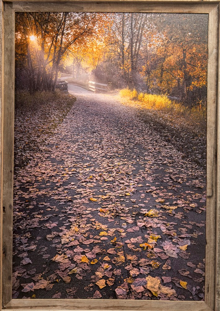 Morning Peace-Website Exclusive