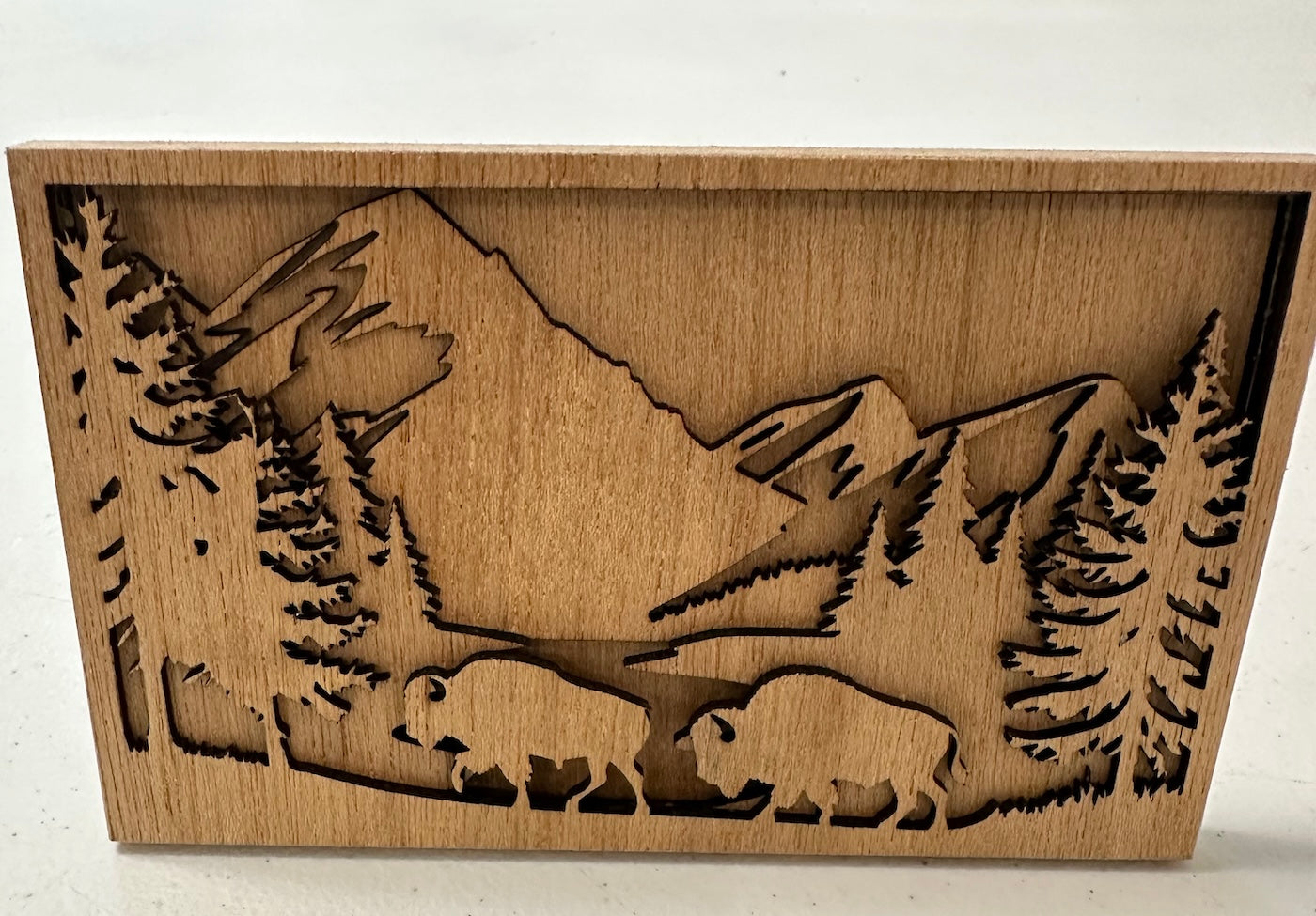 Mountain scene with buffalos