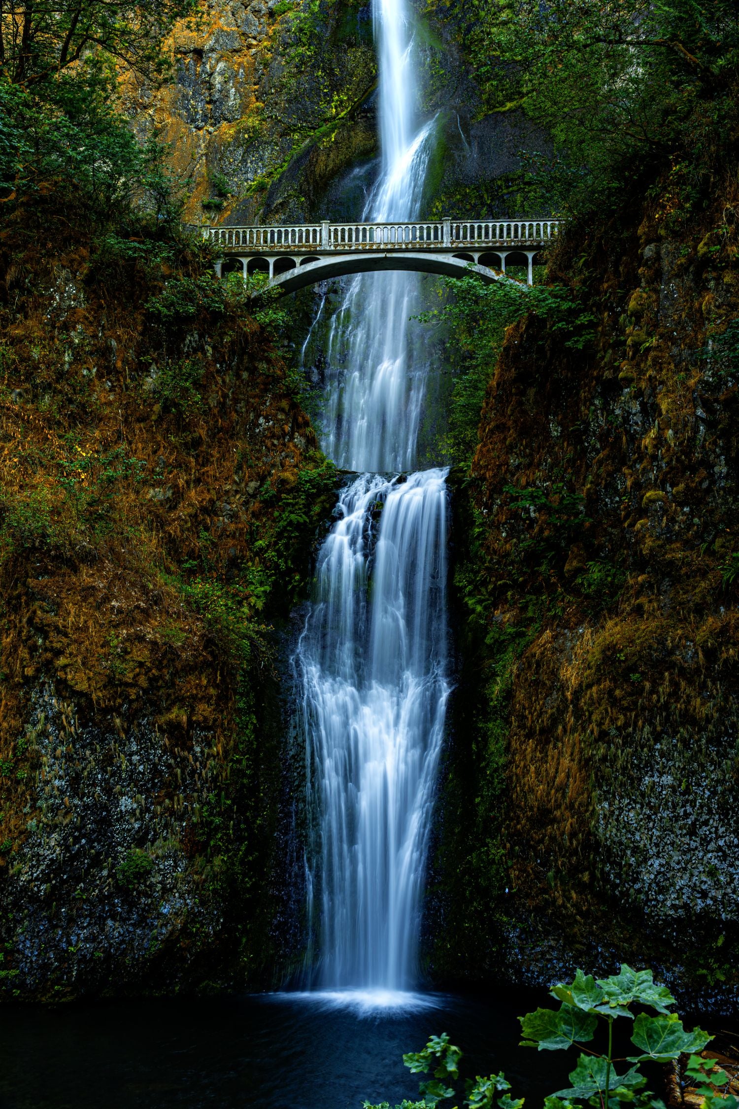 Falling for Oregon - Online Exclusive