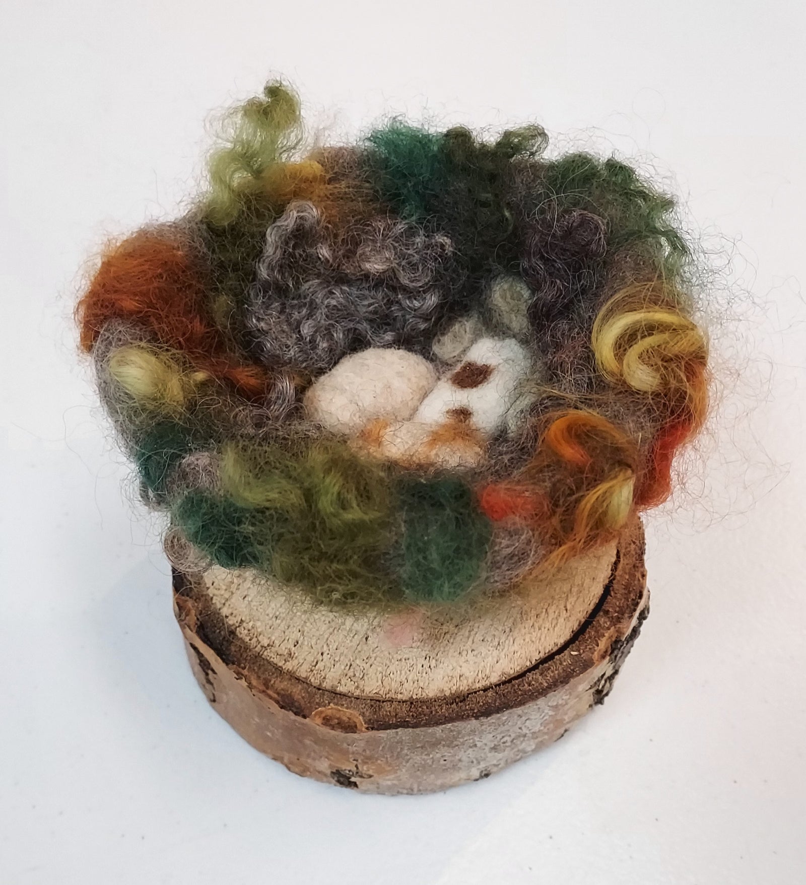 Needle-felted Bird's Nest - Sun. 4.19.26 @ 10:30A