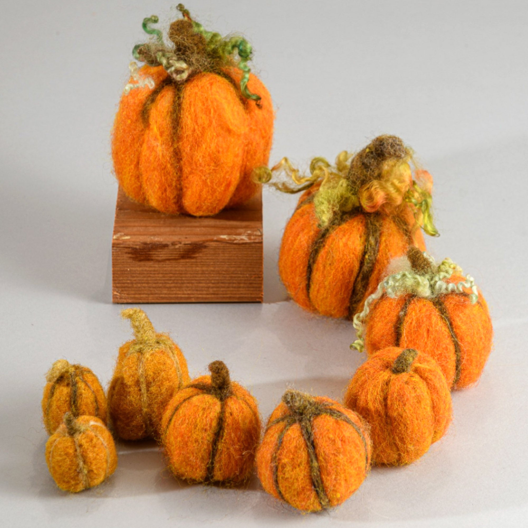 Needle Felted Pumpkins - Sun 10.6.24 @ 1P