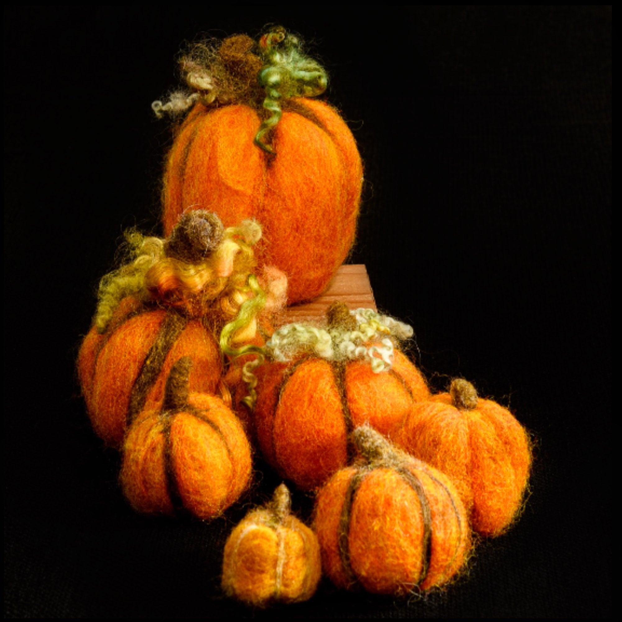 Needle Felted Pumpkins - Sun 10.6.24 @ 1P