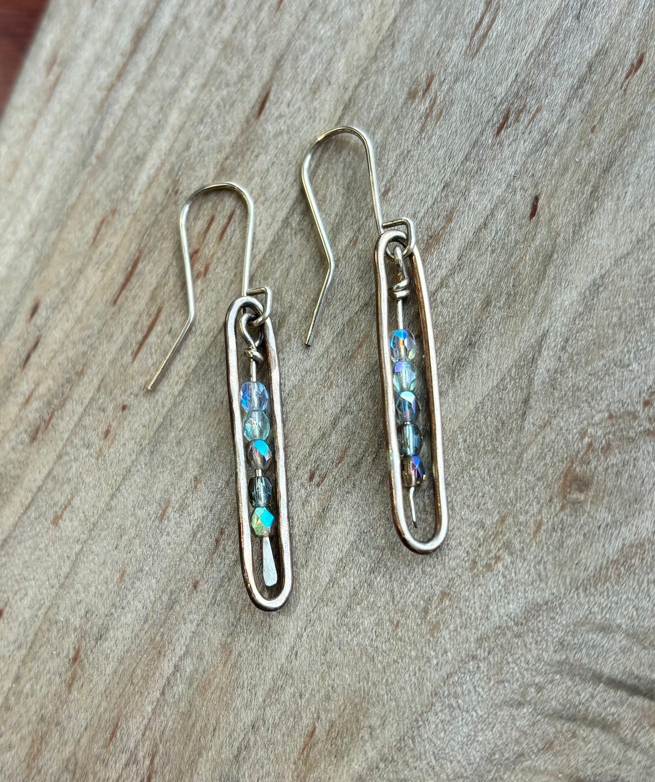 Ombre Drop Earrings E29