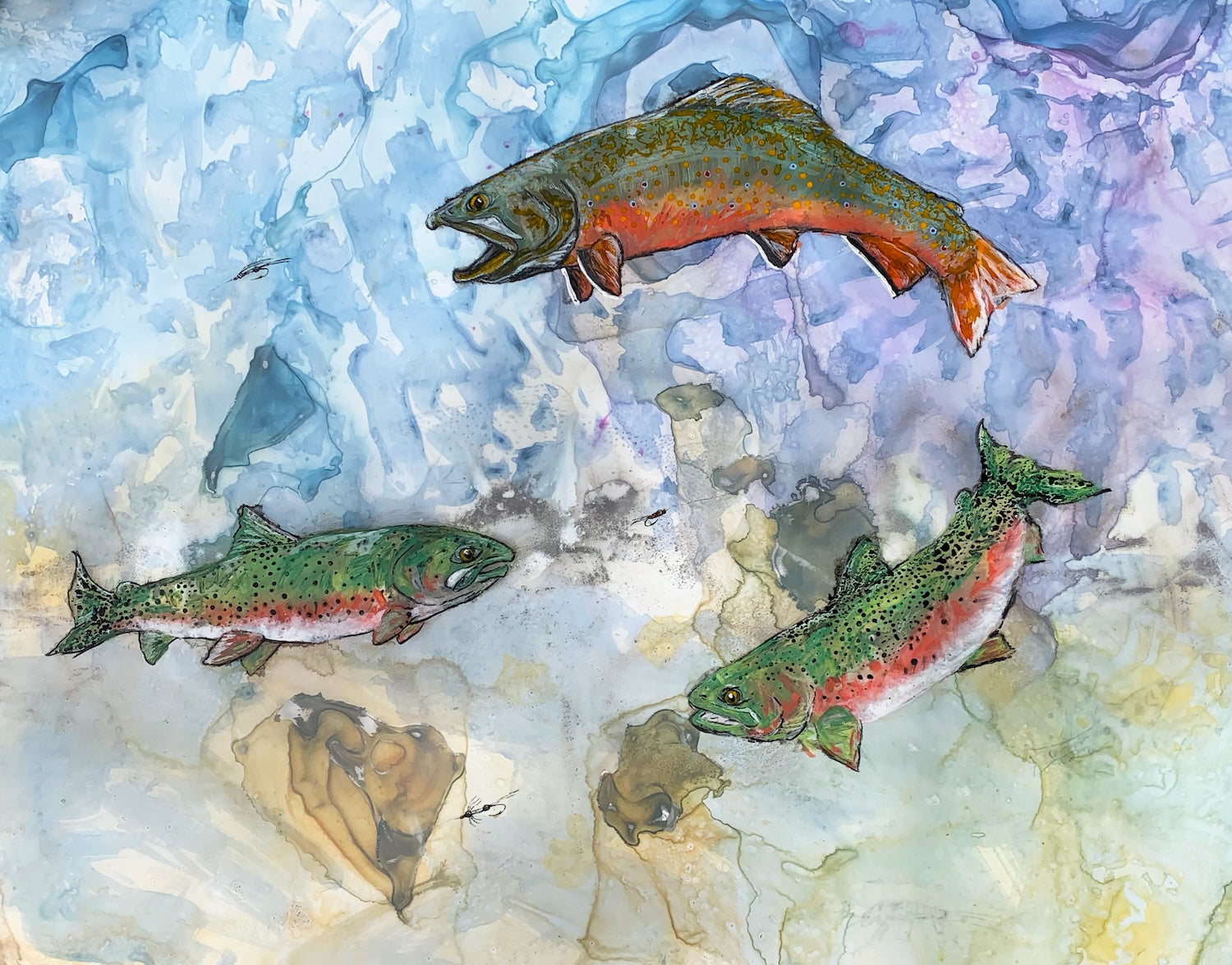 On the Fly--Website Exclusive