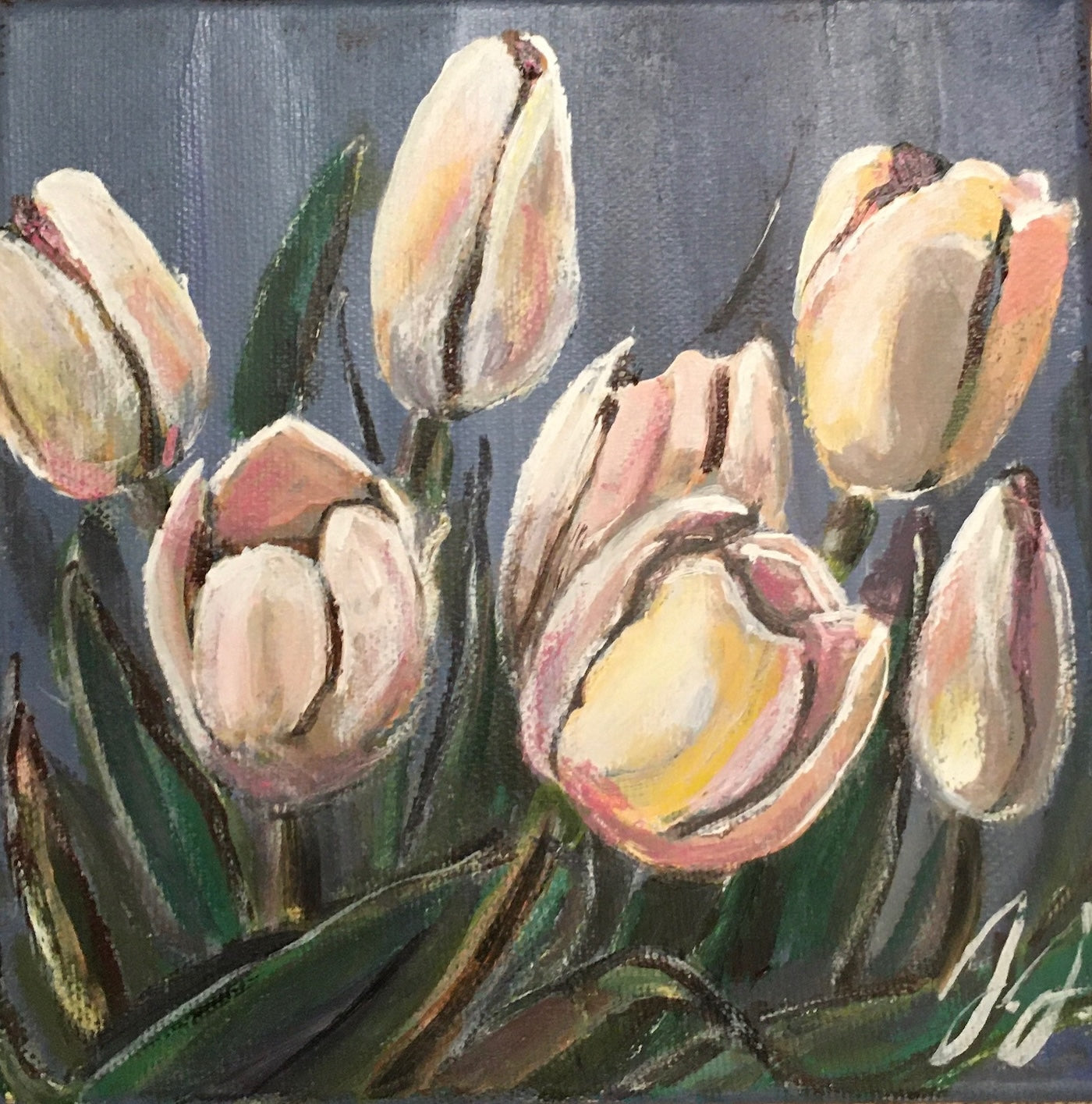 Pale Pink Tulips