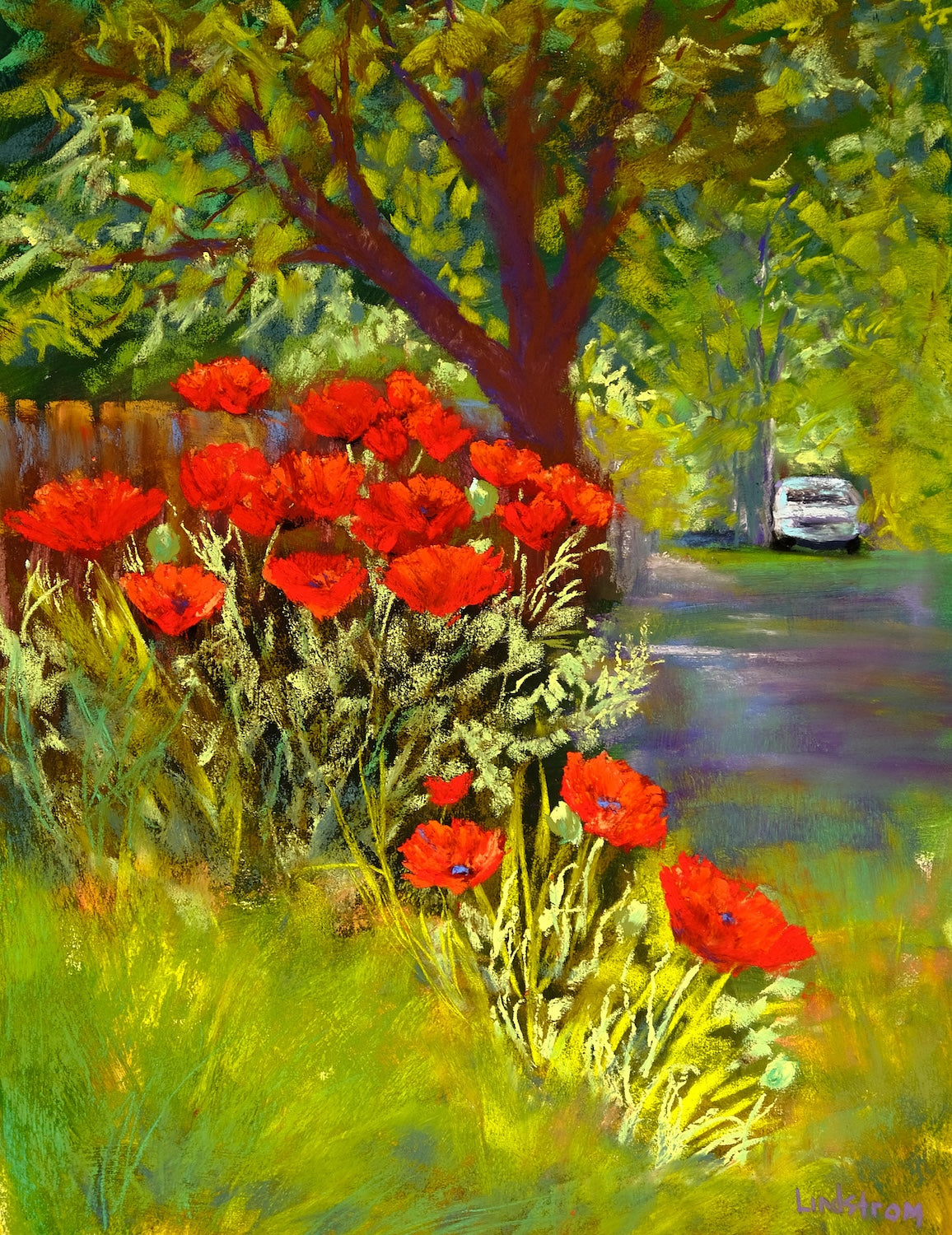 Peaceful Poppies 2